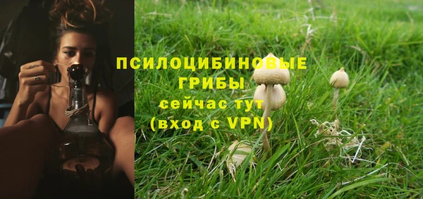 сатива Ладушкин