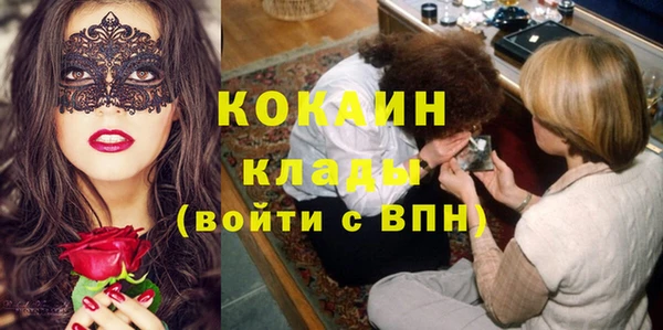 крисы Лагань