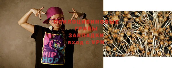 хмурый Братск