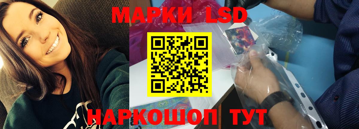 Купить закладку  МДМА  Гарик  A-PVP  Пушкино  Канабис  Мефедрон  Вход с VPN  NBOMe 