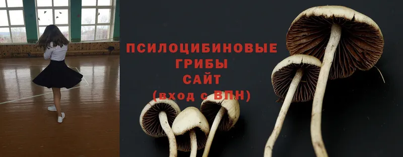 Галлюциногенные грибы Cubensis  купить наркотик  Пушкино 