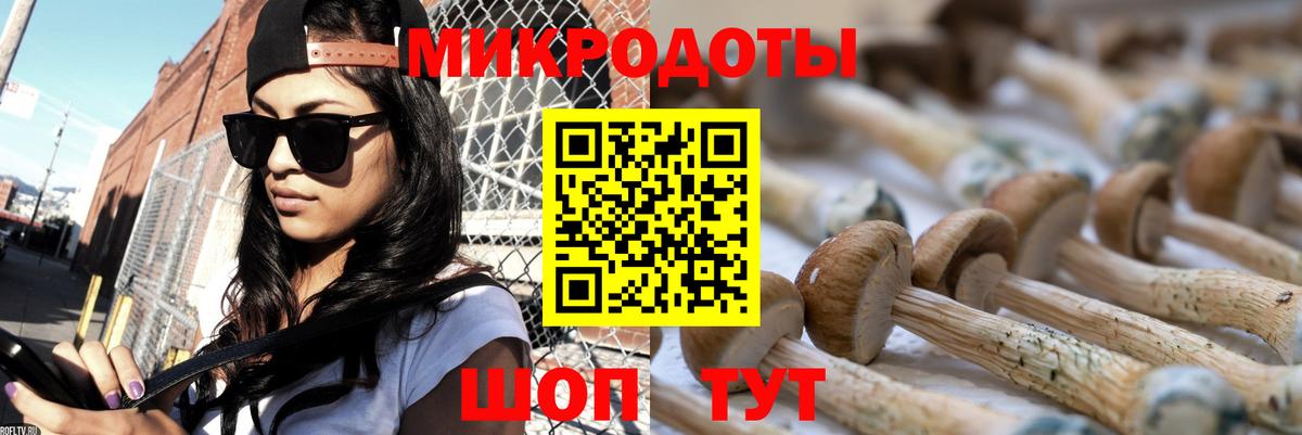 Галлюциногенные грибы GOLDEN TEACHER Пушкино